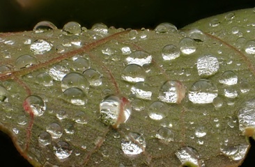 P1285969b.jpg